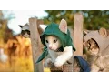 Download Lagu Assassin's Kittens!