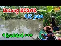 Download Lagu 258 : untung besar‼️mancing borongan 4,2 juta, ikan yang naik lebih dari 4 kwintal