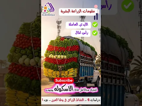 النشاط الزراعي في وطننا العربي 🌾| شرح سهل ومبسط | دراسات | الصف السادس الابتدائي |المنهج الجديد 2026