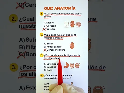 PREGUNTAS DE CULTURA GENERAL Quiz de Anatomía ¿Cuál de estos órganos no siente dolor?