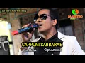 Download Lagu Lagu Bugis ~ Cappuni Sabbara'e ~ Cipt.Ansar.S ~ Voc.Ocha || Show Maestro Music In Rubae Kab.Pinrang