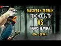 Download Lagu MASTERAN TERBAIK TENGKEK BUTO SAMBUNG KAPAS TEMBAK || JEDA 15 DETIK !!
