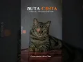 Download Lagu Buta Cinta | JoPatri