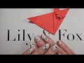 Lily and Fox nail polish strips review