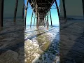 Warning Hidden Mystery under-the-wooden-pier