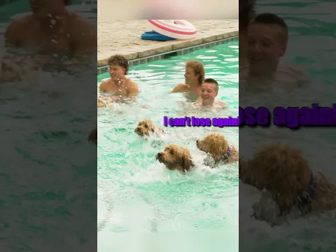 Recreating our puppies' pool race 2 YEARS LATER! 🐶