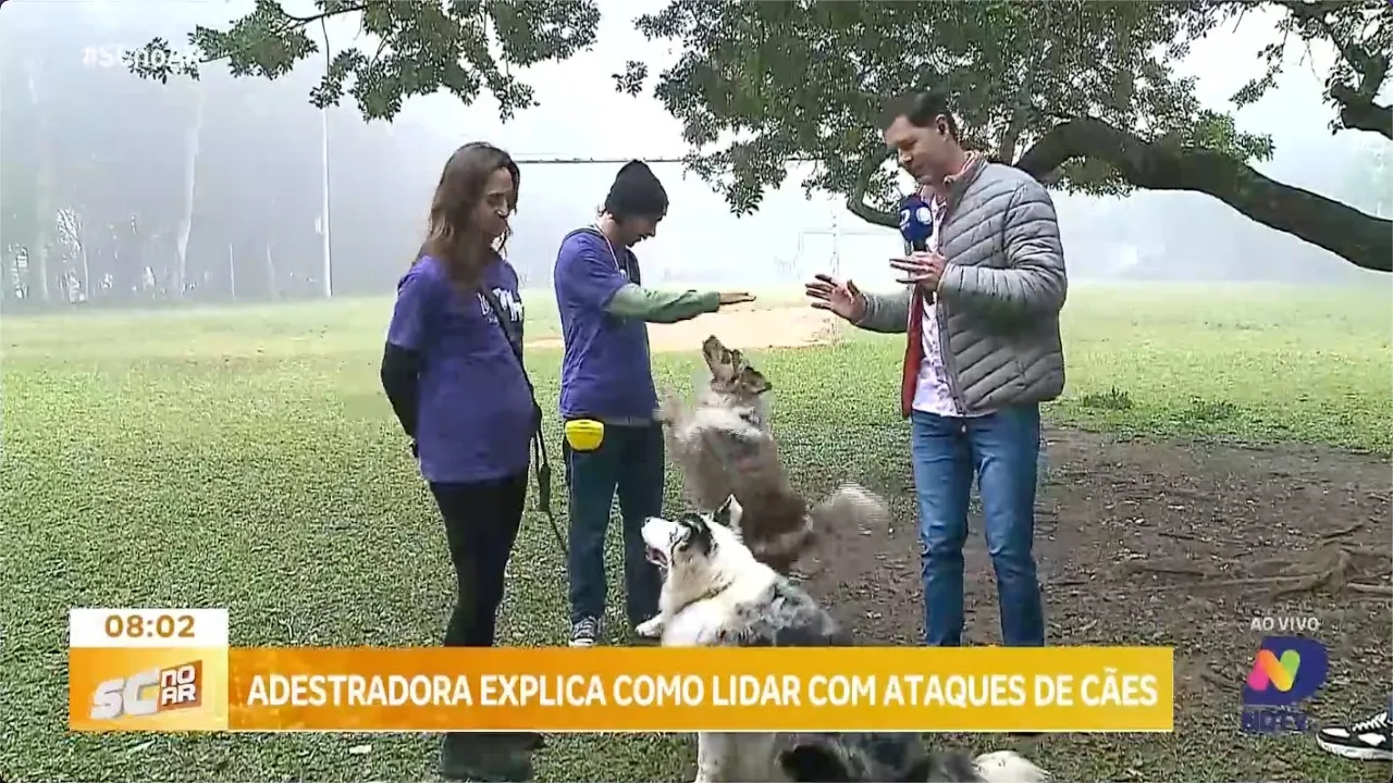 Adestradora explica como lidar com ataques de cães