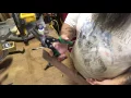 Snip Tips Sheetmetal Fish Throatless Shear