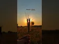 Download Lagu Desi sona 💐💐💐.... #music #dj #electronicmusic #housemusic #edm #shorts #shortvideo #short #subscribe