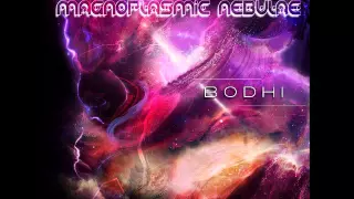 bodhi nanoparticle matrices