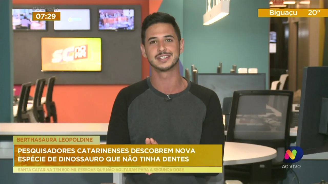 Pesquisadores catarinenses descobrem nova espécie de dinossauro