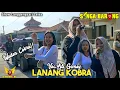 LANANG KOBRA - Voc Lili Gemoy - Singa Depok Singa Barong SIBA - Show Langgengsari Lelea