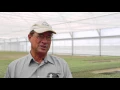 Hi-Way 1 Truck Centres Client Profile - Wide Bay Seedlings