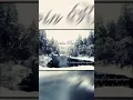 Download Lagu I'D Like To Be A Christmas Tree - Kevin \u0026 Karyn #shorts