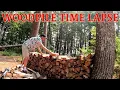 WOODPILE TIME LAPSE