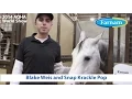Blake Weis and Snap Krackle Pop Contender