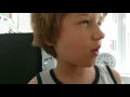 Smart Rockets translation into JavaScript no genetic algorithm yet