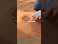 Download Lagu How The Grand Canyon Was Formed Demonstration (📸:latortadelchavodel8)