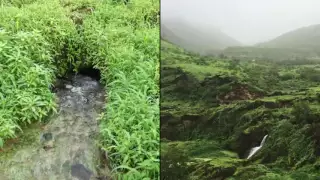 مسلم علي عبد الكريم يزيد الشوق 