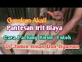 Lagu CARA PACKING TERNAK ENTOK  KIRIM LUAR KOTA JAMIN AMAN DAN NYAMAN YANG PASTI IRIT BIAYA