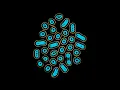 When Simple Rules Create Life-Like Complexity