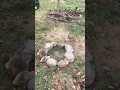 Easy fire ring setup