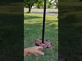 STAND Roosevelt Flag Pole - Made in China