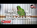 Download Lagu 🔴Raja Serindit Gacor Nembak Cililin❗️Pancingan Pikat Serindit Paling Ampuh