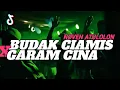 Download Lagu DJ BUDAK CIAMIS X GARAM CINA PARTY SENTAK NOVEN ATULOLON 2025