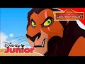 Download Lagu De Leeuwenwacht | Toen ik Scar werd Muziek Video!🎧 | Disney Junior BE