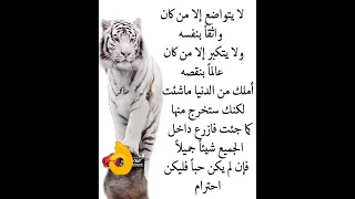 ازرع الاحترام 