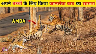 क्या इन मासूम बच्चों की मां इन्हें एक खूंखार TIGER से बचा पाएगी? Disney Tiger in Hindi.