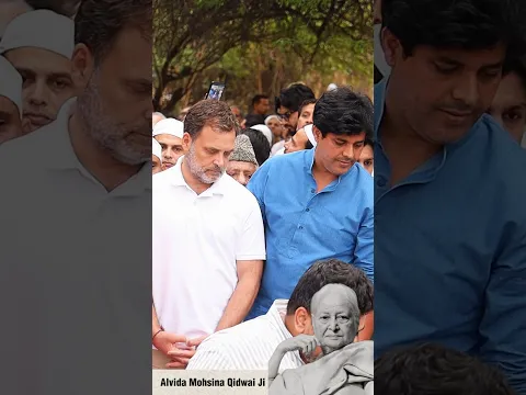 अलविदा मोहसिना किदवई जी