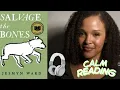Salvage The Bones by Jesmyn Ward Calm ASMR Reading story under 2 minutes