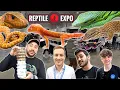 I BOUGHT 6 LIZARDS AND 4 MYSTERY PETS AT THE TORONTO REPTILE EXPO March 2024