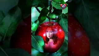 نجاة الصغيره   وفضلت استنى الايام دندنها