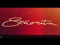 Download Lagu Camila Cabello -  Señorita (Official Solo Version)