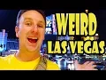 Las Vegas Travel 10 WEIRD Things to do in Las Vegas