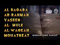 Quran surah Albaqara yasin Alrahman AlWaqeah Almulk Almuethat | Beristirahatlah untuk hatimu