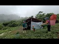 Download Lagu A kind farmer introduces a new house for 2 mothers and children to live in