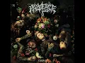 River Of Sorrows - Paleface Swiss