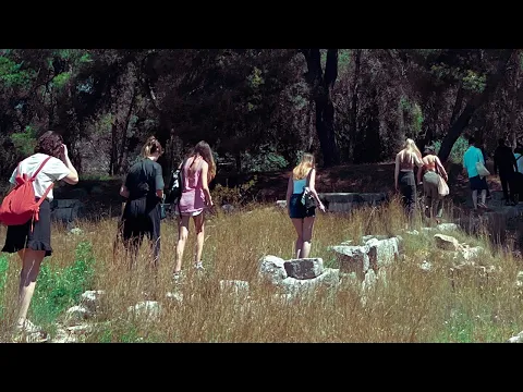 Driver Ants - 2024 - Trailer