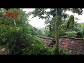 Lagu SUASANA DI PERKAMPUNGAN KETIKA TURUN HUJAN