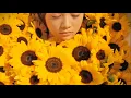 Download Lagu YUI- Goodbye Days (WITH SUBTITLES)