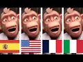 Chinese apen zingen, maar dan in 4 verschillende talen