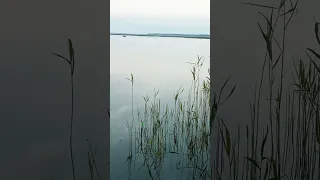 рыбалка поплавок рассвет 