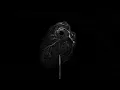 Midwinter - Poison Dart Frog [Official Visualizer]