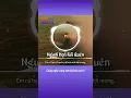 Download Lagu Càng nghe càng mê bài hát này!!! #bolero #nguoihenroiquen #yntt #popsmusicbolero