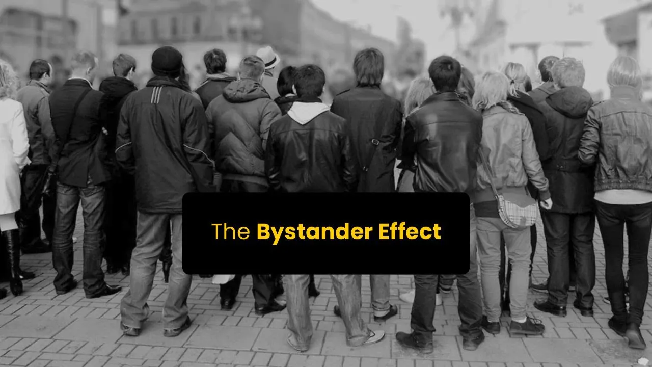 The Bystander Effect | Bibb Latané and John Darley Experiment | Online Docs