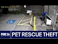 Thief caught stealing from Houston-area pet rescue